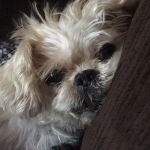 Meet your Posher, Kristin